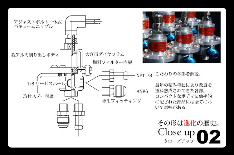 その形は進化の歴史【Close UP 02】