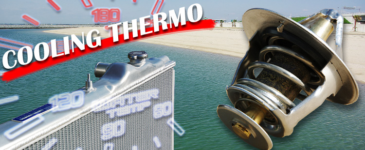 COOLING THERMO